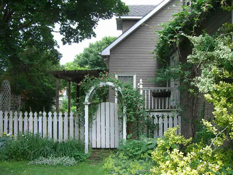 A Picket Fence Beauty
