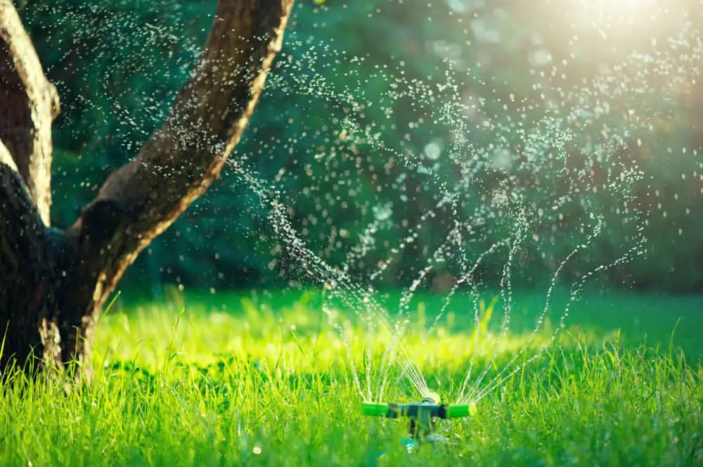 alternatives to underground sprinkler systems