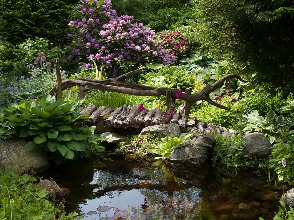 backyard water features