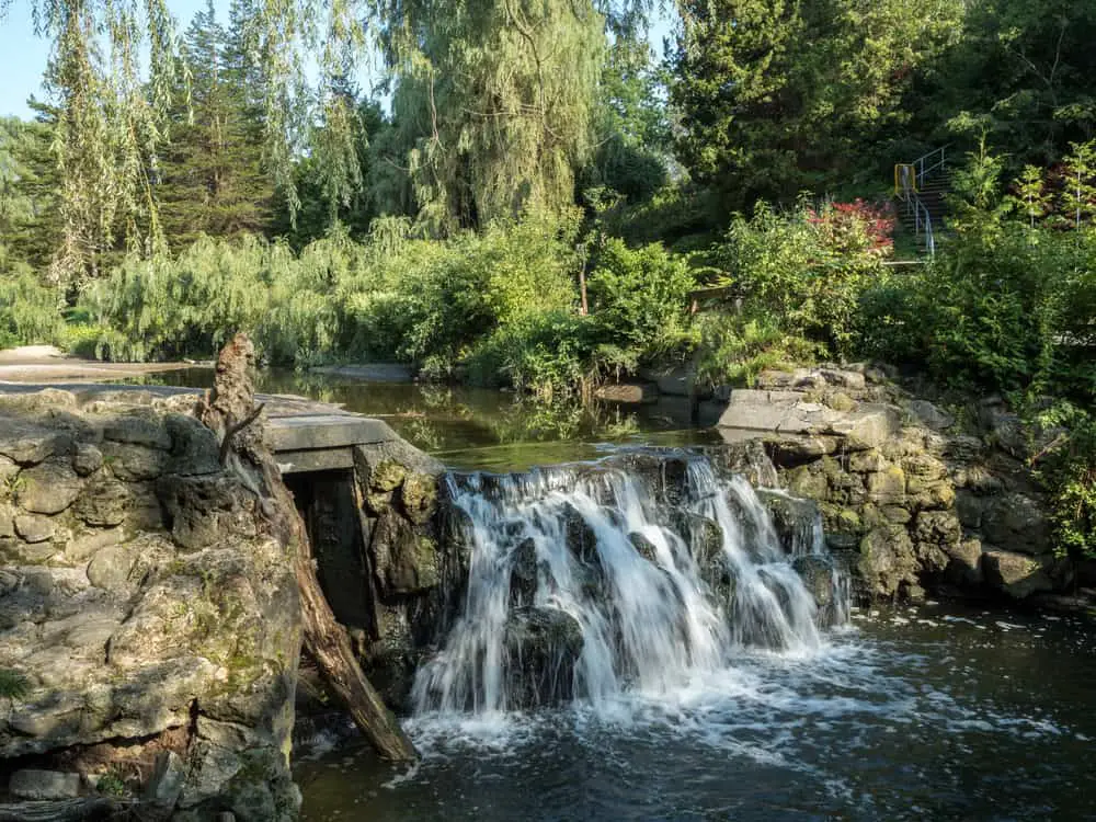 backyard water features