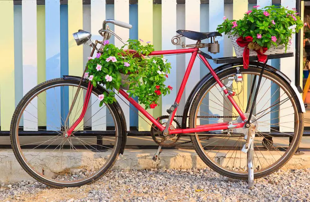 Bicycle Planter