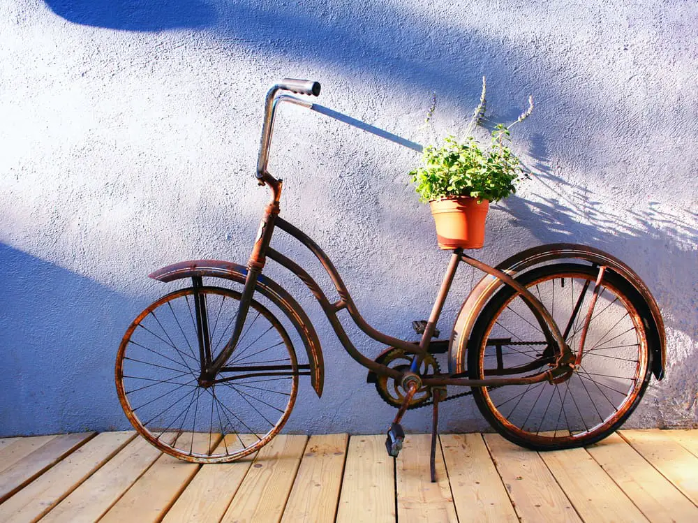 Bicycle Planter