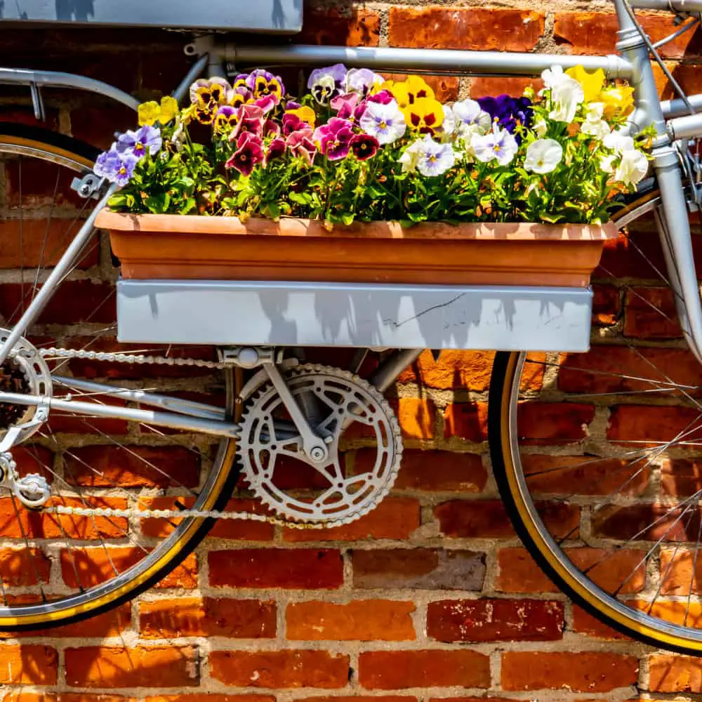 Bicycle Planter