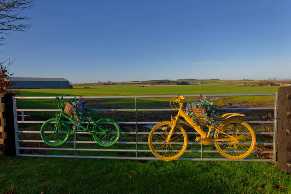 Bicycle Planter