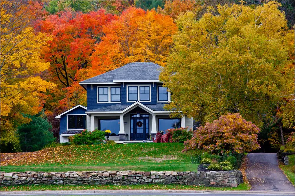 Blue House Exterior