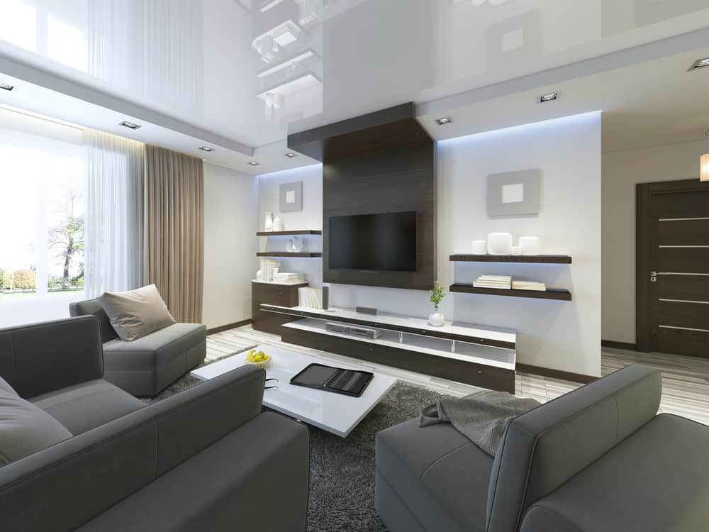 Contemporary style living room with TV