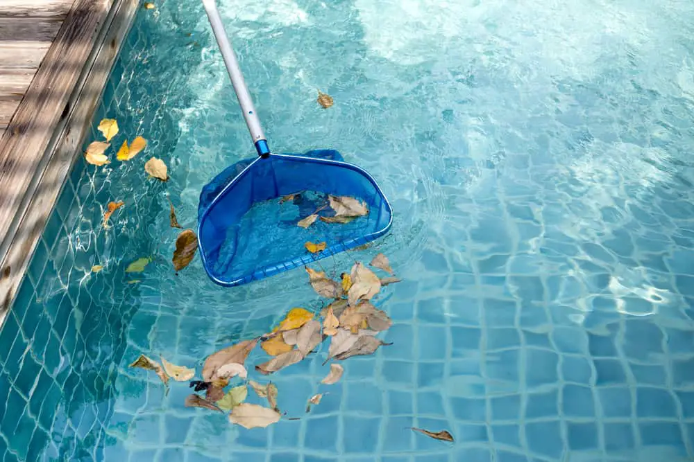 removing leaves from a pool