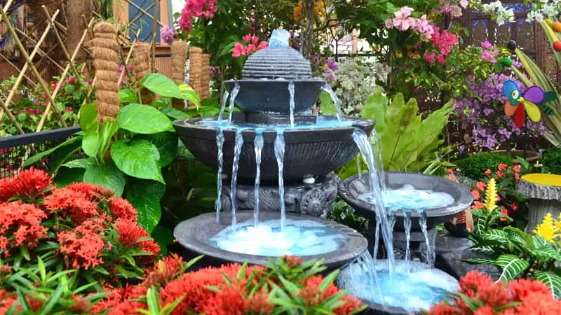 backyard water feature