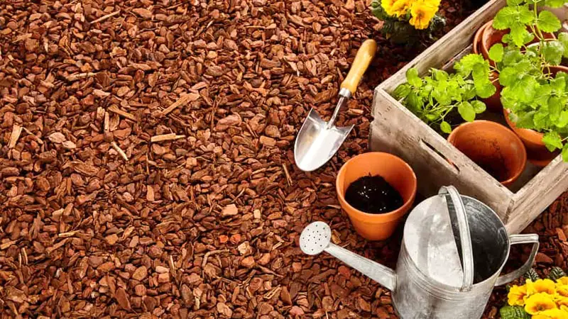 mulch alternatives