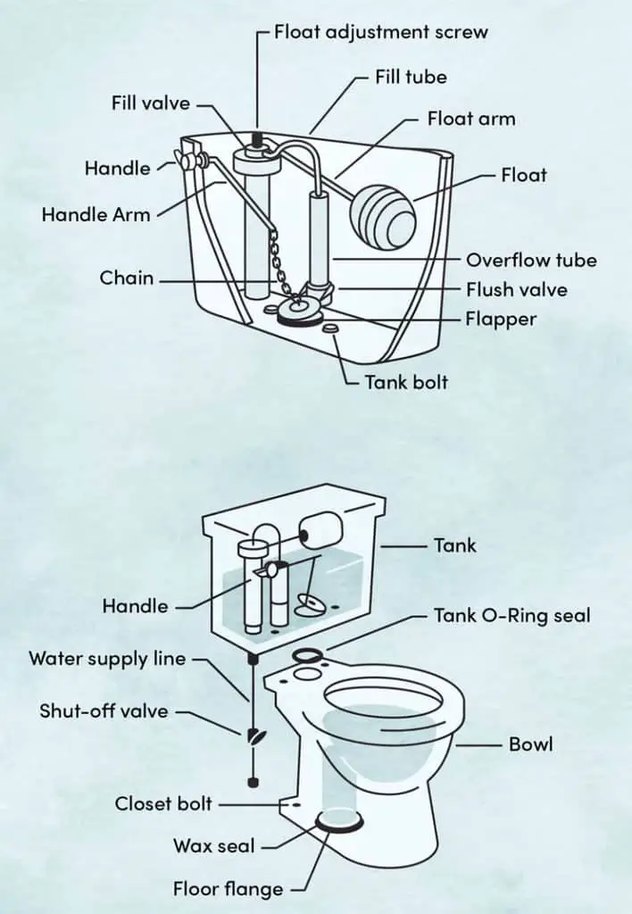 21 Different Types of Toilets (Styles, Flush Types, Features)