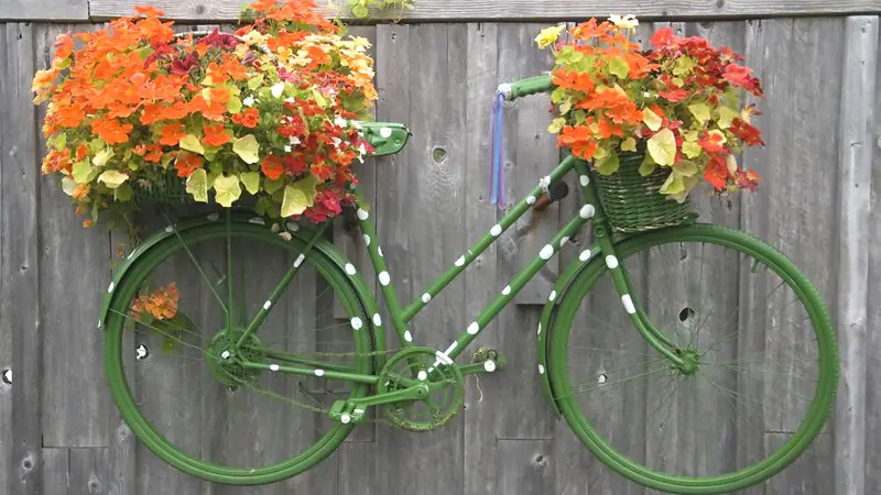 polka dot bicycle planter
