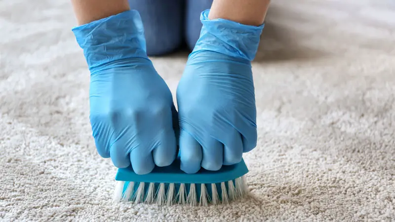 shampoo carpet by hand